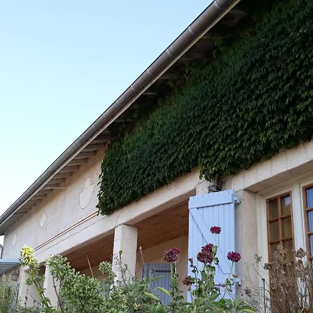 Grand De Gascogne - 12 Places Dom wakacyjny