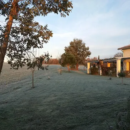 Grand De Gascogne - 12 Places Dom wakacyjny *