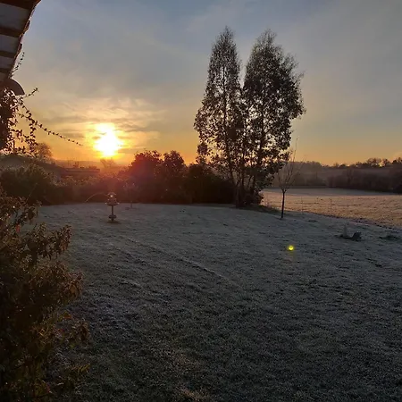 Grand De Gascogne - 12 Places *