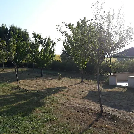 Grand De Gascogne - 12 Places Garac