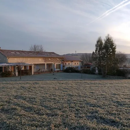 Grand De Gascogne - 12 Places
