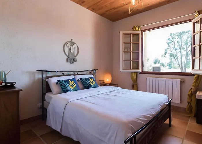 Grand De Gascogne - 12 Places *