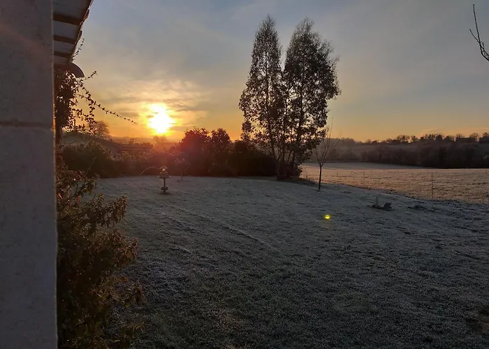 Grand De Gascogne - 12 Places *